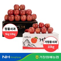 [거창원예농협] 거창 실속 부사사과 10kg10kg 중 28-40내 중과