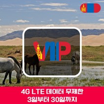 VIP 몽골 4G LTE 포켓 와이파이 매일 1GB 후 저속 국내공항 수령, 매일 1GB 후 저속 1일/인천공항
