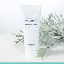 오르자드 에너자이징크림240ml 영양크림, 1개, 240ml