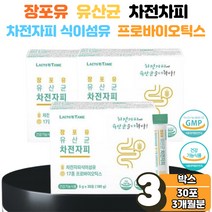 유산균 식이섬유 차전자피 차전차피 차전자 마시는 가루 분말 먹는법 섬유질 섬유소 질경이 효능 유산균 증식 유해균 억제 에도움 3박스 쾌변 장 건강 운동 청소 숙변 제거 수험생