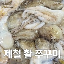 [제철별미] 산지직송 서해안 국내산 100% 활쭈꾸미 1kg, 2kg