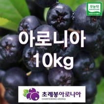 유기농 자연초생재배 초례봉아로니아냉동생과열매 상급 10kg / 농장 직배송