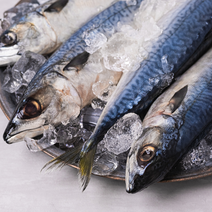 업소용 노르웨이 냉동고등어 20kg 300/400 400/600, 1.노르웨이고등어_20kg(중) 300-500