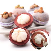 웰프레쉬 냉동 망고스틴500g, 1개, 500g