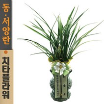 치타플라워 동양란 황룡관 [CD06-008] 승진 개업 축하 난 동양난 영전 취임 생일 선물 화분 고급 란 전국 당일 배송 꽃배달