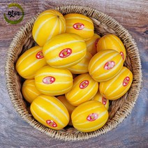 맛가득 프리미엄 성주참외 망고참외 꿀참외 참외 2Kg 5Kg 10Kg 11Kg, 프리미엄 성주꼬마참외 12-15과 3Kg