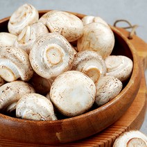 양송이버섯 1kg(상), 단품