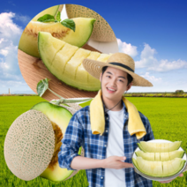 국산 산지직송 멜론 메론 생과 제철 과일 고당도 프리미엄 가정용 선물용 중 대과 특대 셋트 4kg 8kg 1.5키로 2개입 3수 4수 6수, A.메론(1.5kg내외) 1수