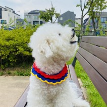 [코바늘 DIY 키트] 강아지 백설공주 케이프 만들기, 기본세트 + 실 추가 1볼