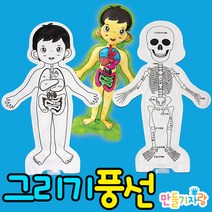 만들기자랑그리기풍선/그리기풍선가면/색칠풍선/인체/만들기재료, 그리기풍선(인체)