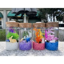 마리모키우기 국산 DIY 유리어항, 바이올렛, 조개, 초록