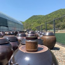 주현식품 경남합천 5년숙성 재래식 집된장, 2개, 1kg