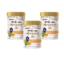 파스퇴르 위드맘 케어솔루션 골드 1단계 750g 3개