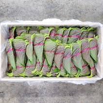 야채24닷컴 깻잎 10단, 1개