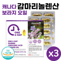 캐나다 보라지 꽃 종자유 감마리놀렌산 90캡슐 식약처 인증 보라지유 여성 월경전 생리전 불편 개선 PMS Borage Gamma Linolenic Acid, 3개, 90정