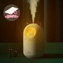 미니 가습기 야옹이 고양이 300ml 대용량 USB 휴대용 사무실 탁상용, 민트