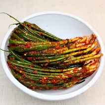 맛깔나는세상 100% 국내산 맛있는 파김치, 1kg, 1개