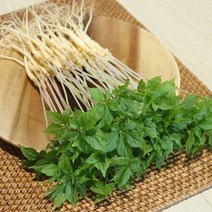 장보리 전남 무안 수경재배 새싹삼 특 50뿌리, 기본상품, 단품없음