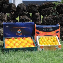 명품패키지 천하일품 과일 명절 선물세트 황금향, 1박스, 03.황금향 선물세트 4.5kg 중대과(14-21과)
