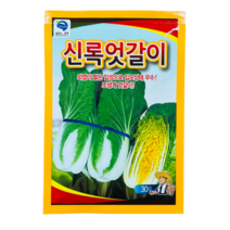 신록엇갈이배추 30g 노지 속노란 얼갈이 쌈배추 씨앗 종자 사카타코리아 품종