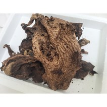 건조능이버섯 국내산 말린버섯 100g