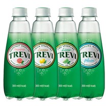 트레비 300ml 500ml 탄산수 탄산음료, 트레비 (라임) 300mlx20펫★