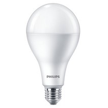 필립스 LED 전구 E26 14W (A80신형), 전구색(3000K)