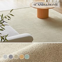 알러지케어 톤앤톤 워셔블 러그 카페트 6size