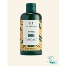 더바디샵 진저 스캘프 케어 샴푸 250ML SHAMPOO GINGER SCALP CARE 97909
