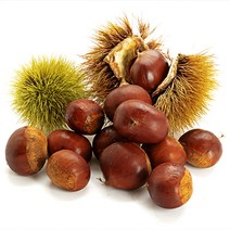 부여 햇밤, 1box, 대크기 2kg