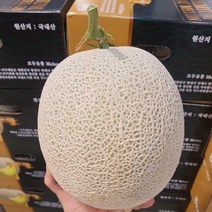 [17Brix][특급] 곡성 멜론 프리미엄 품질 고당도멜론 제철과일 선물과일 완박스과일, 8kg 내외 (3~4수)