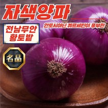 무안 황토밭 자색양파 5kg 10kg [미니/소/혼합], 무안 황토밭 자색양파 중대혼합 10kg