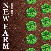 당일수확 유럽형 상추 3종 모듬 포장, 1개