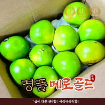 특품 신선한 당일선별 메로골드 8개16개 청자몽 대과 킹사이즈 스위티 그린 자몽, 16개, 16개