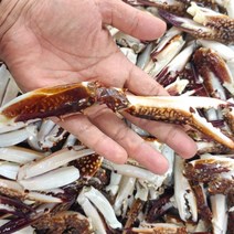 꽃게다리 연평도 냉동꽃게발 육수용 1kg 5kg 10kg, [1kg], 1개