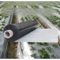 마늘 심는 비닐 감자 고구마 심는 농사용 멀칭비닐, 폭 1.2미터 길이 170미터 두께 1S