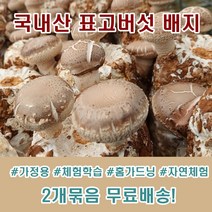 무농약 친환경 원형 표고버섯 배지 2개묶음