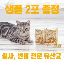 고양이 전문 유산균 영양제 설사 변비 구토 면역력 장건강 프로바이오틱스 프리바이오틱스 파우더 캣바이오