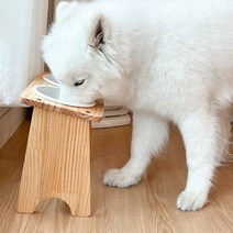 대형견 밥그릇 강아지 식탁 애견 고양이 수반 오일코팅 식기 2구, 대형견 오일코팅 식기 2구, 26cm, 대형 유광화이트 2개