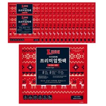 온열팩/ HPAS [아이따뜻해]포켓용 프리미엄 핫팩 대형150g, 40개