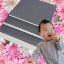 Gcs 보드 이보드 복합 단열재 GPS 보드 준불연 면재 900x 2400, 21mm, 1개