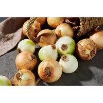 국내산 양파 햇양파, 10kg(1개), 1개