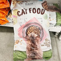 노브랜드 반려묘사료 10kg, 단품, 단품