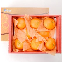 제주직송 레드향1.6Kg(선물용) 과일 선물세트, 레드향1.6kg특대과(선물용)