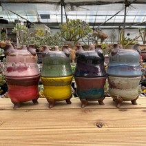 예운분 : 뚱뚱이 원형분 8가지 색상 / 용인수다육 다육이화분 고급화분, 8.흰색