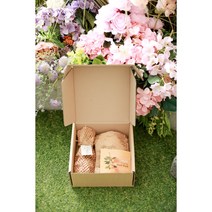 나도아이 프리미엄 손세정제 자몽향 (본품1pcs 리필팩 2pcs) 1set