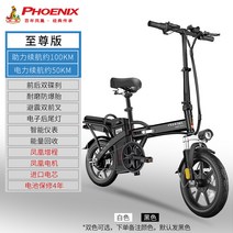 배달용 전기 자전거 가성비 이동 수단 미니 휴대용 접이식 폴딩 차량, Enterprise피닉스모터수입코어약100KM