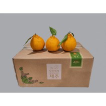 고당도 코코리한라봉 실속형, 실속형 소과 5Kg