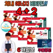 캡사이신 나이아신 헬스 체내에너지생성 영양제 고추열매추출분말 보충제 수용성비타민 6박스