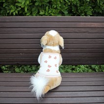 강아지 여름옷 쿨나시 국내생산 Tikdog(틱독), 팬더 끈나시
